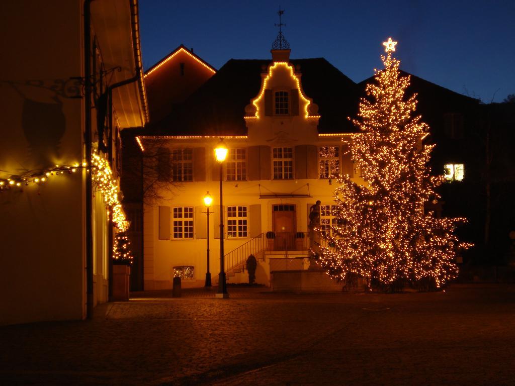 Hotel Gasthof Zum Ochsen Arlesheim Exterior foto
